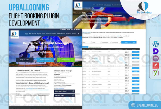 do custom wordpress plugin development and customization